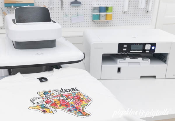 Which Ink System Should I Choose for My New Sawgrass Printer